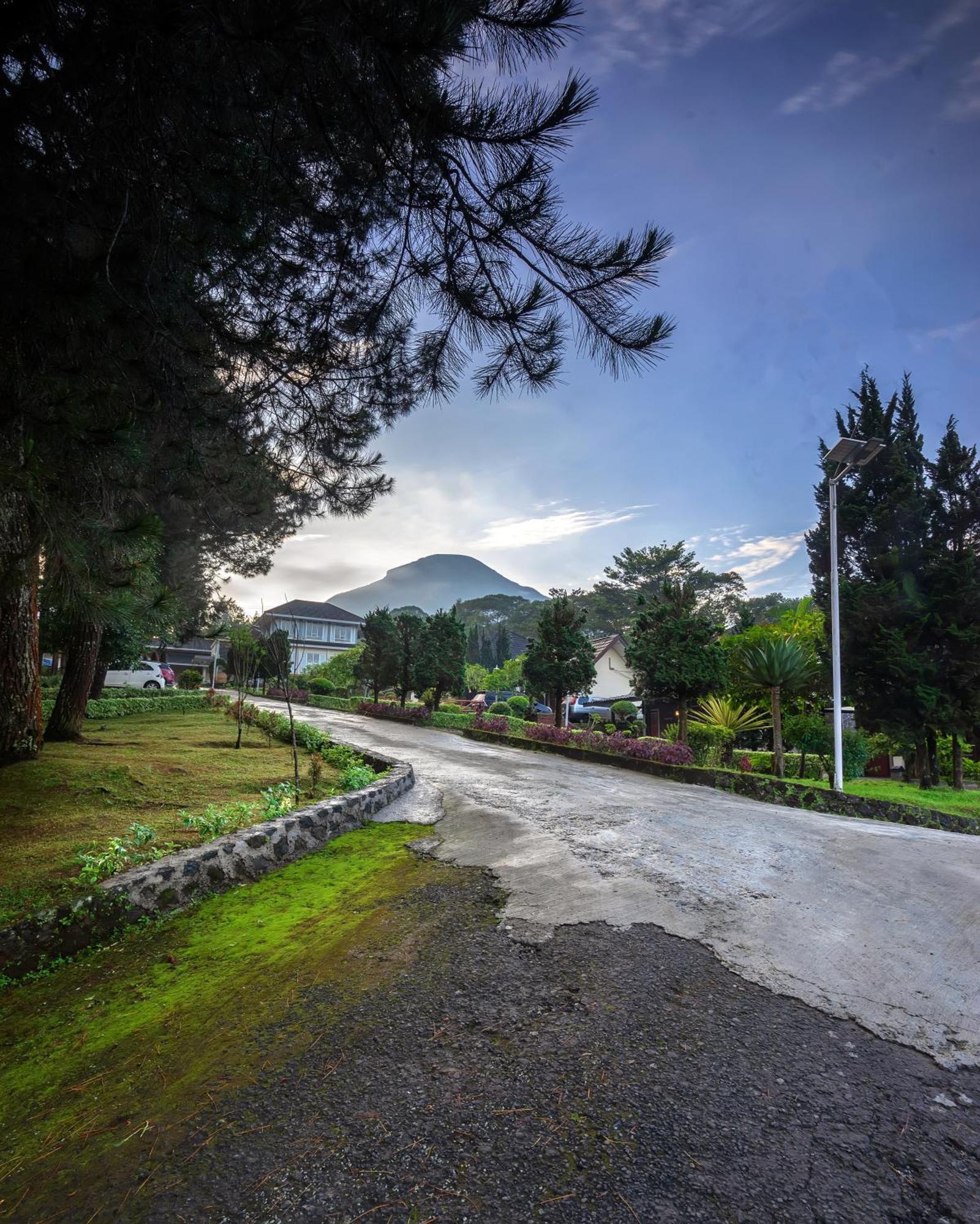 Tambi Tea Resort Kejajar Zewnętrze zdjęcie